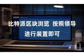 比特派区块浏览 按照领导进行装置即可