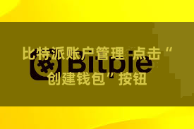 比特派账户管理  点击“创建钱包”按钮