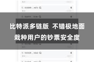 比特派多链版  不错极地面栽种用户的钞票安全度