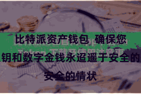 比特派资产钱包  确保您的私钥和数字金钱永迢遥于安全的情状